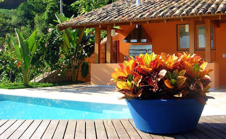 Plantas mais fáceis de cuidar para cultivar em casa