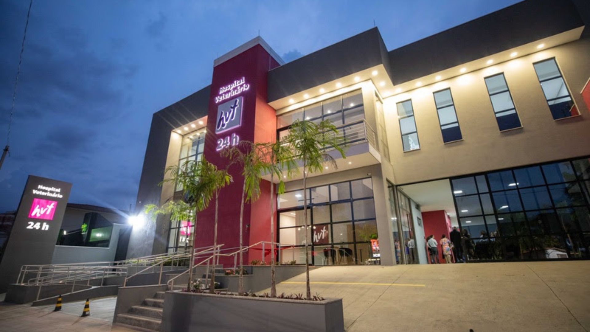 Socialização programada promove integração pacífica e saudável entre animais