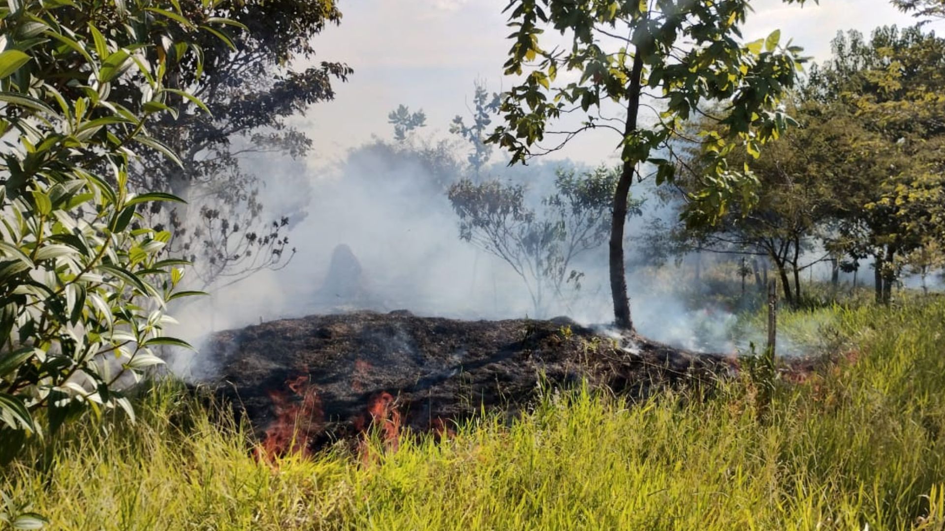 Hortolândia em Alerta Máximo: Estado de Emergência Declarado por Risco de Incêndio