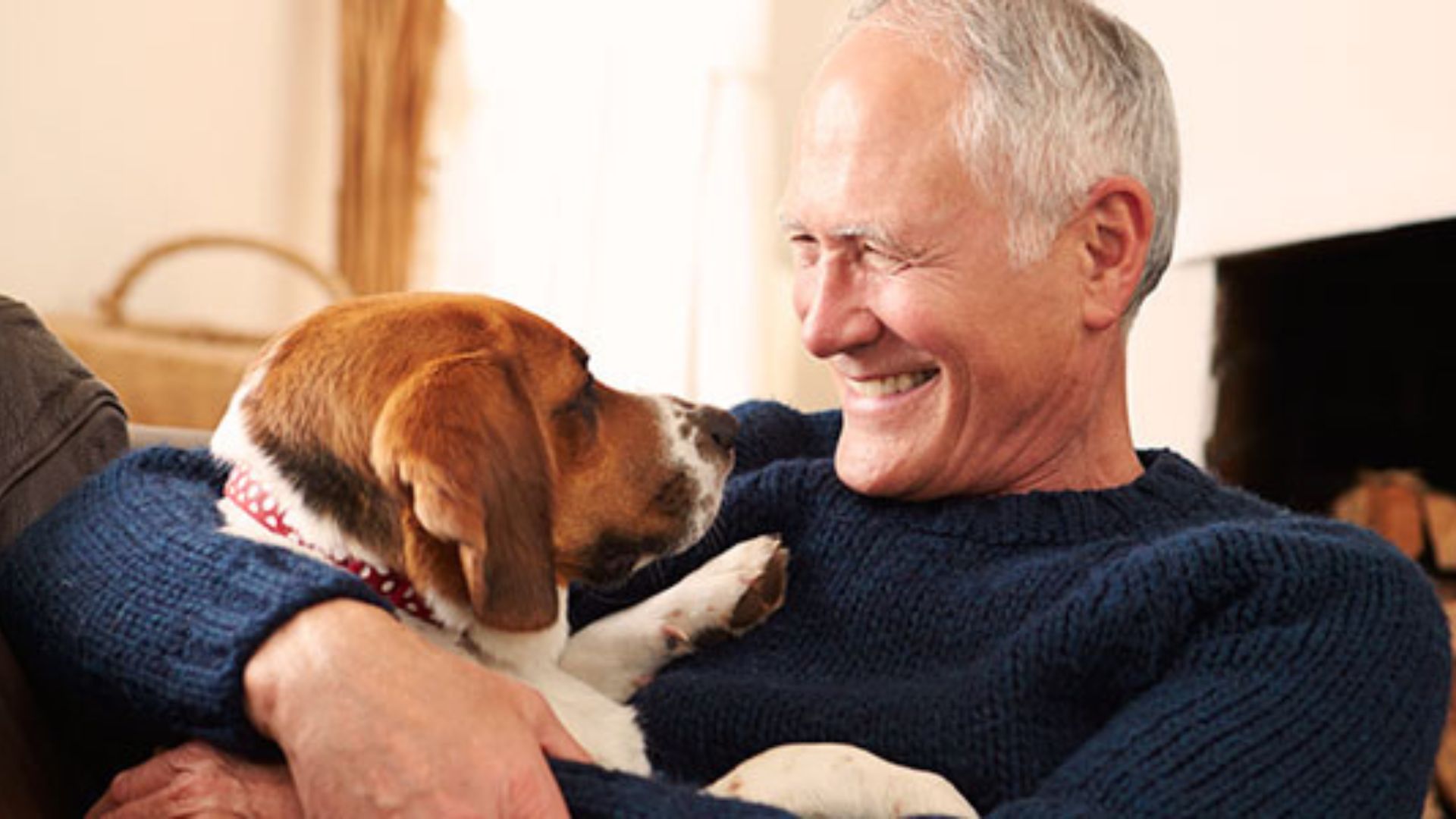 O Poder Transformador dos Pets: Benefícios para Crianças e Idosos