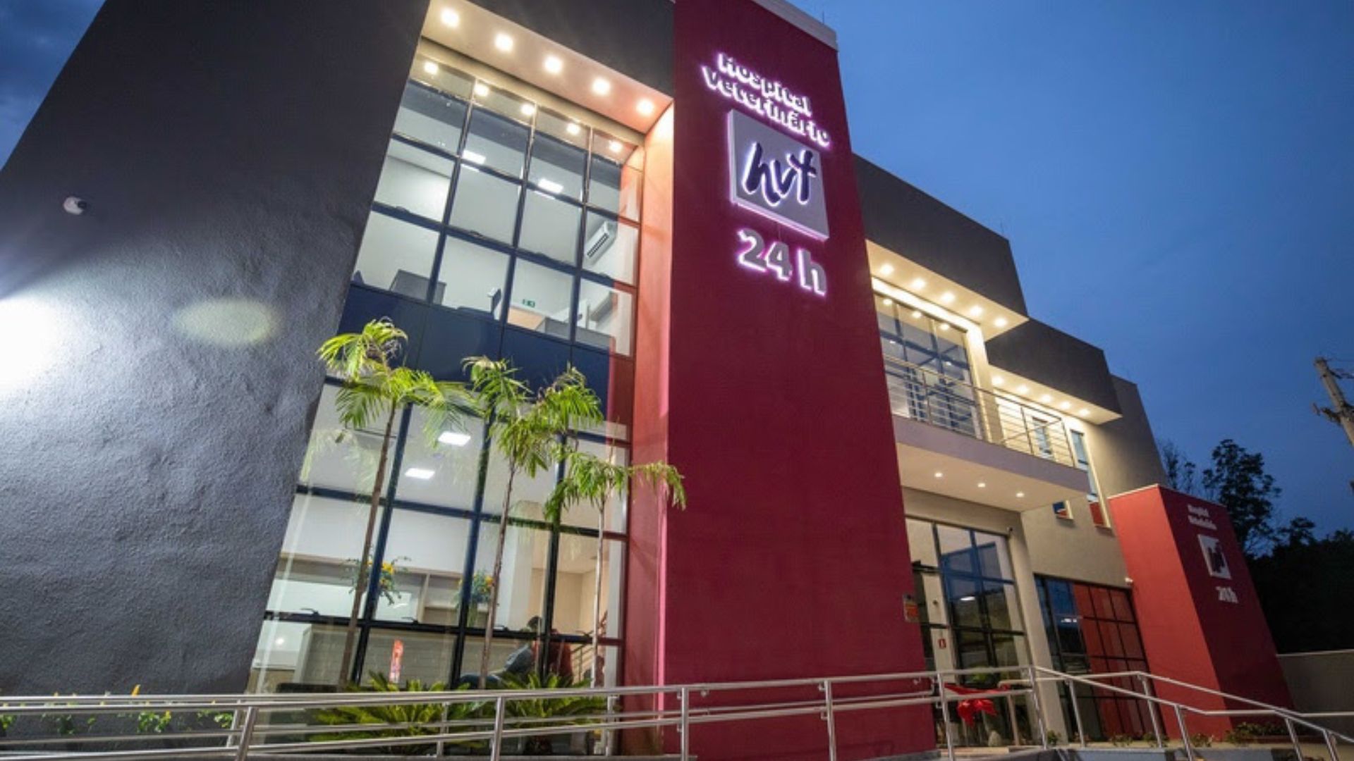 Planejamento pode tornar a ida ao veterinário menos estressante