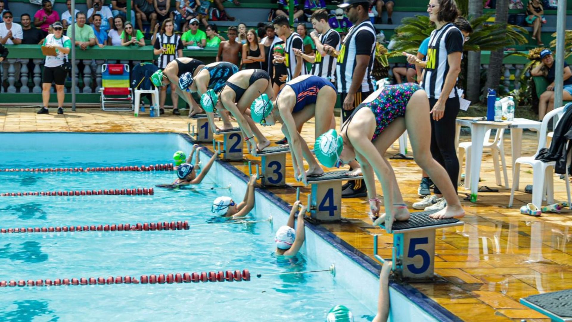 Paulínia brilha na natação e conquista 39 medalhas no Circuito ARN 2024