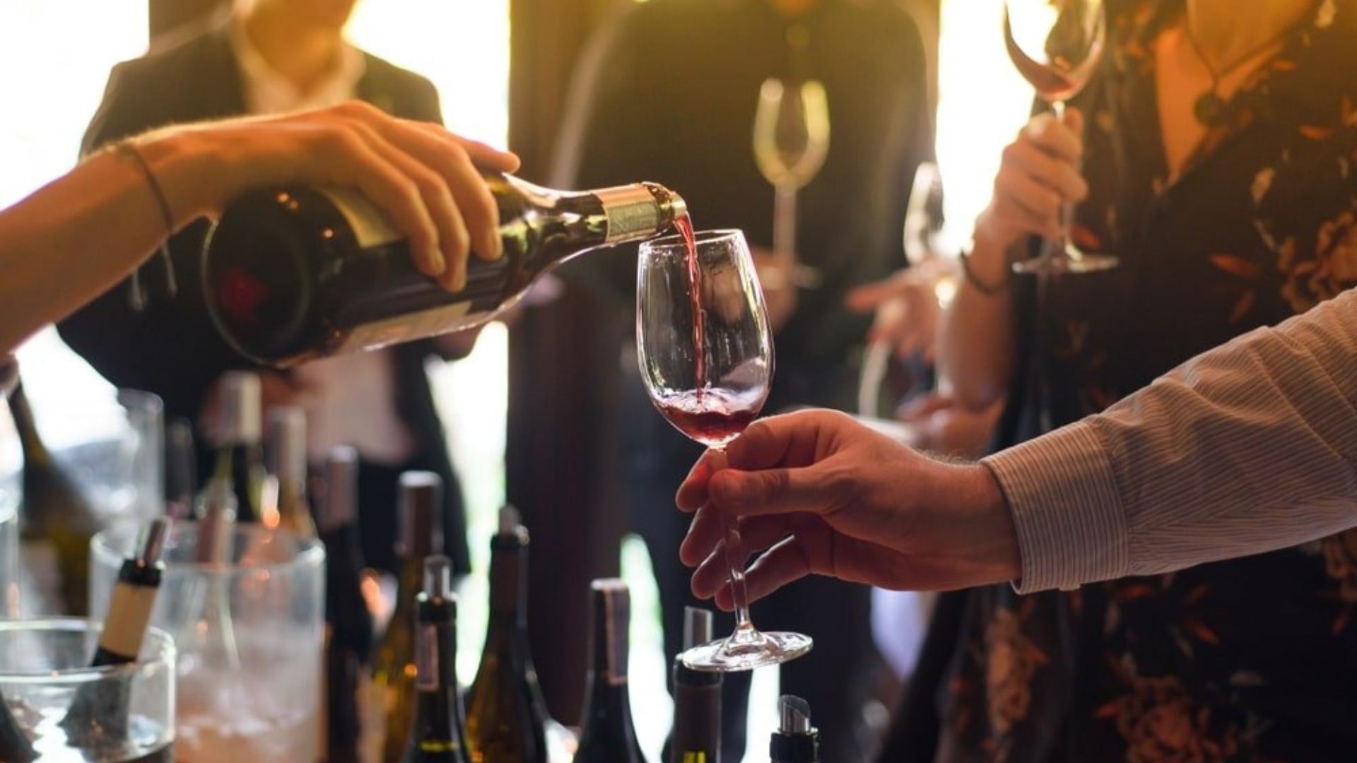 Dicas de sommelier para escolher o vinho brasileiro perfeito e harmonizar com suas refeições