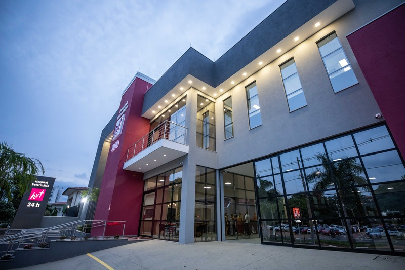 Medicina Integrativa Veterinária: Uma Abordagem Completa para o Bem-Estar dos Animais