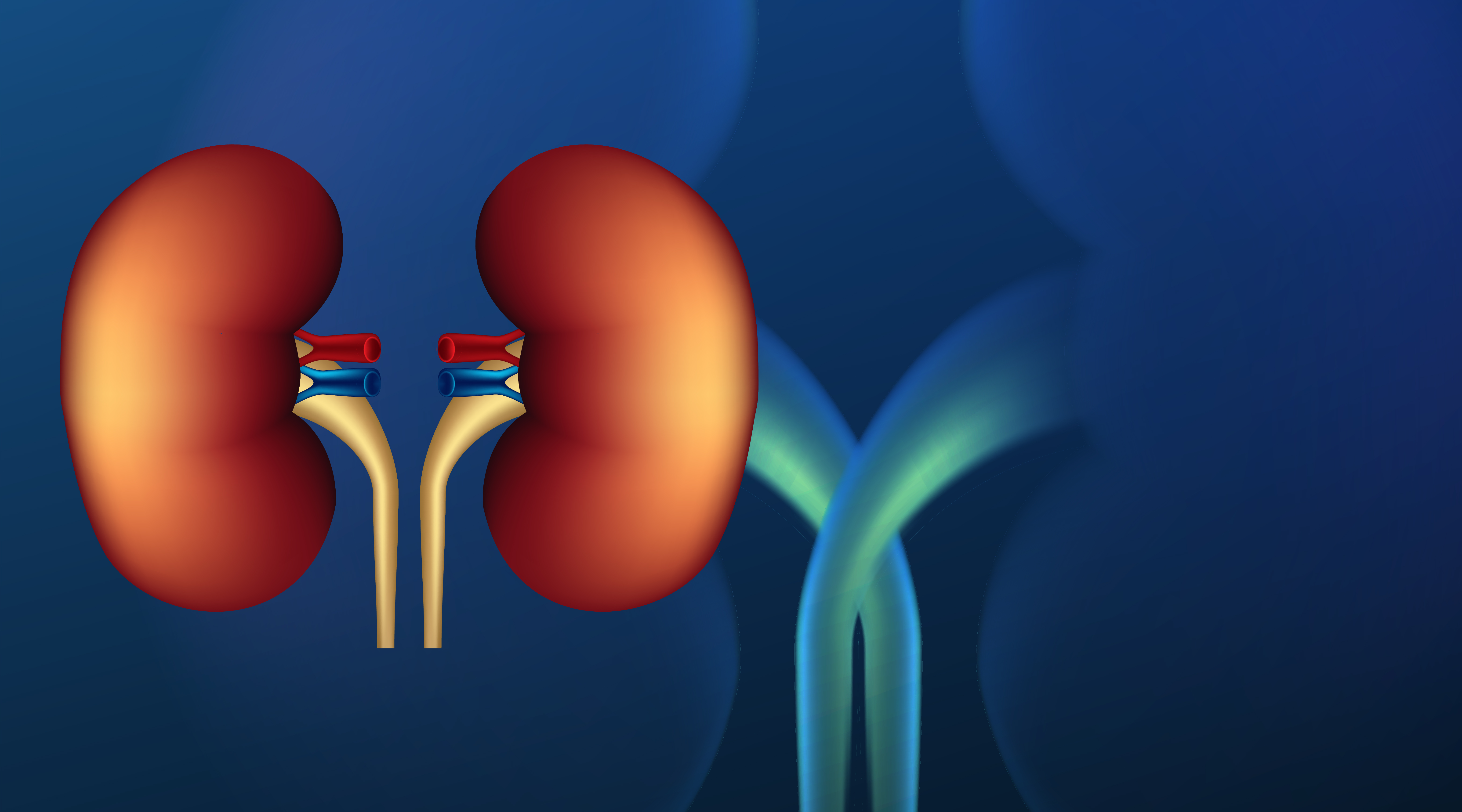 Dia Mundial do Rim e Março Vermelho: Uma Campanha de Conscientização sobre o Câncer Renal