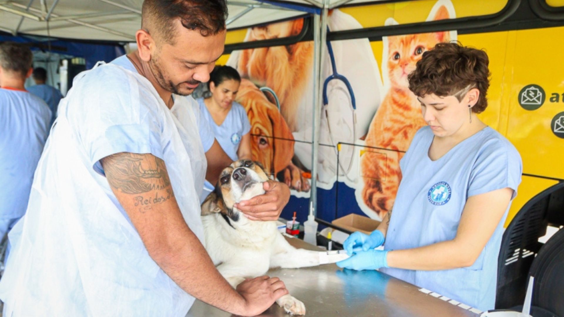 Programa Municipal de Castração oferece 250 vagas em Betel