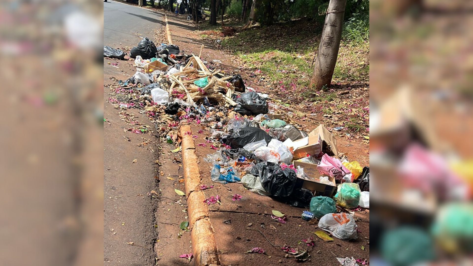 Prefeitura de Nova Odessa Reforça Cronograma da Coleta de Lixo na Campanha "Cidade Limpa