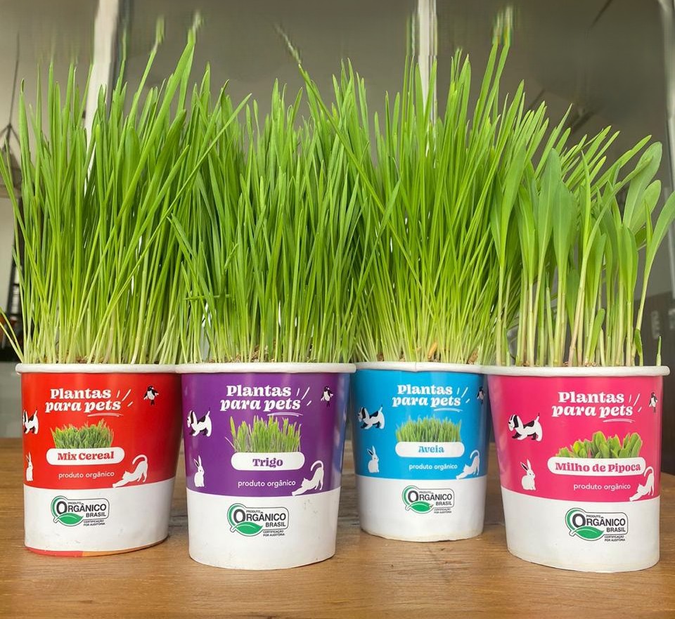 Clorophila Brasil Lança Potes Lacrados de Plantas Orgânicas para Pets no 29º Veiling Market