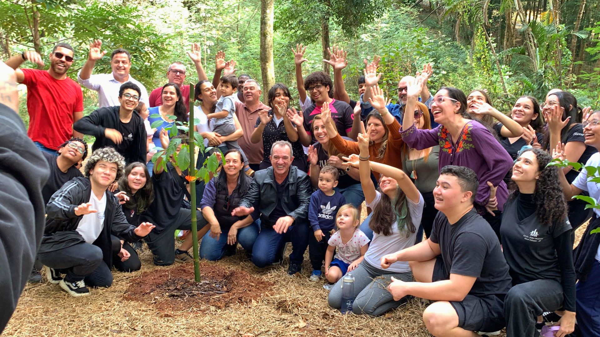 Nova Odessa e Santa Bárbara lideram arborização e iluminação na RMC