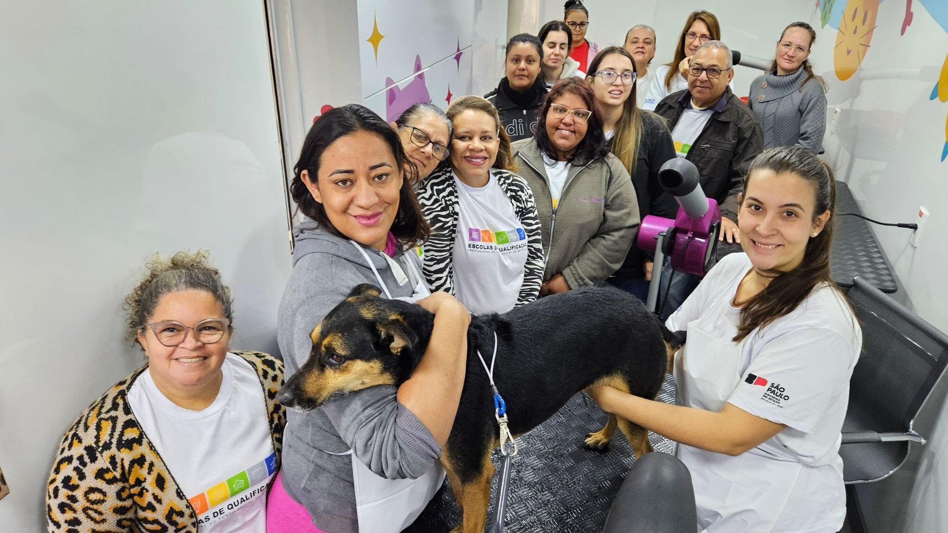 Curso gratuito de Banho e Tosa em Nova Odessa inicia aulas práticas com animais resgatados