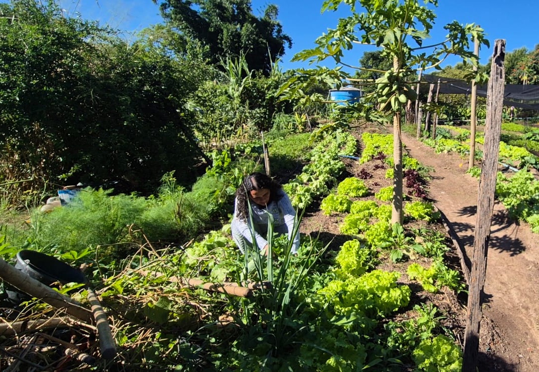 Sebrae-SP abre inscrições para o ALI Rural na região de Campinas