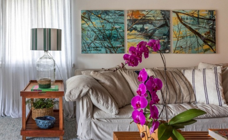 Onde colocar orquídeas dentro de casa para favorecer a floração