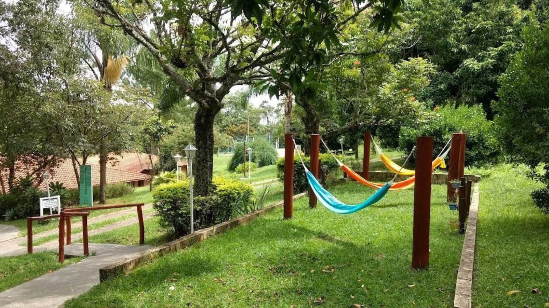 Canetas emagrecedoras mudam relação com o corpo e ampliam busca por bem-estar