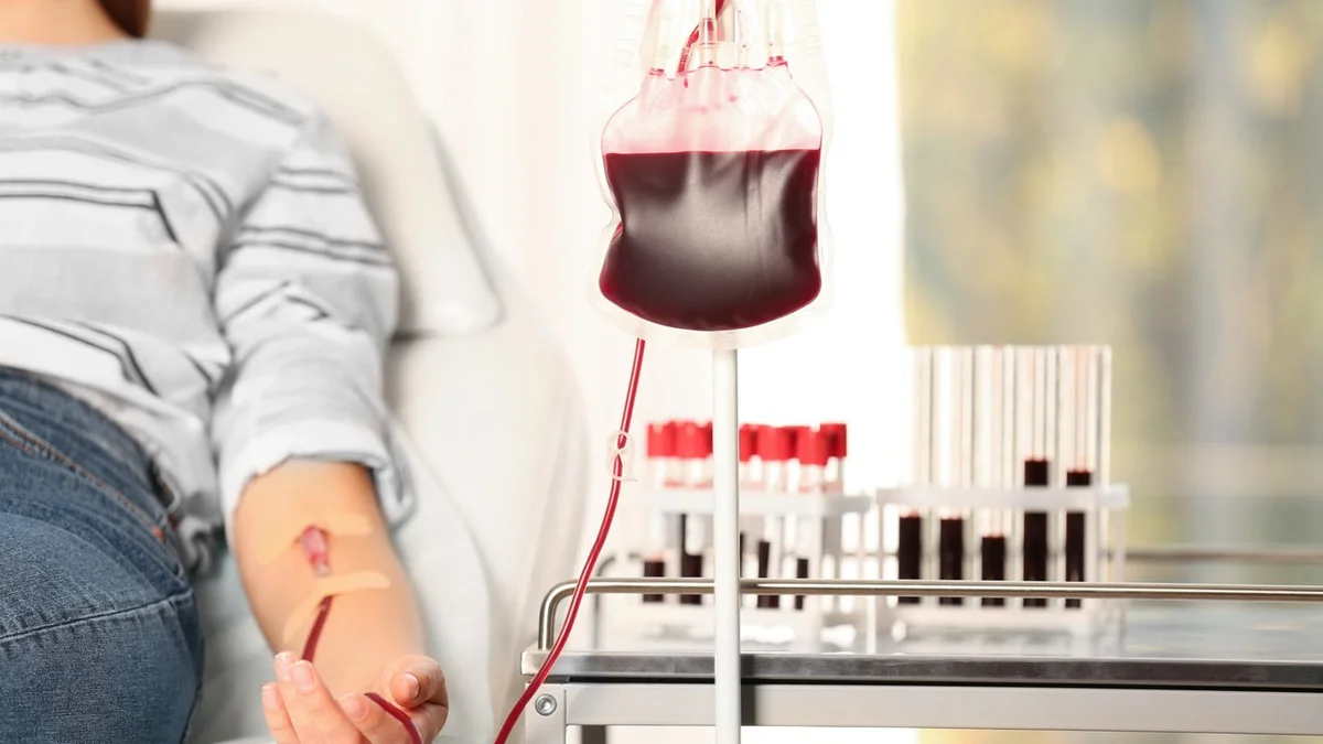 Campanha em parceria com o Hemocentro mobiliza doação de sangue na Câmara de Hortolândia