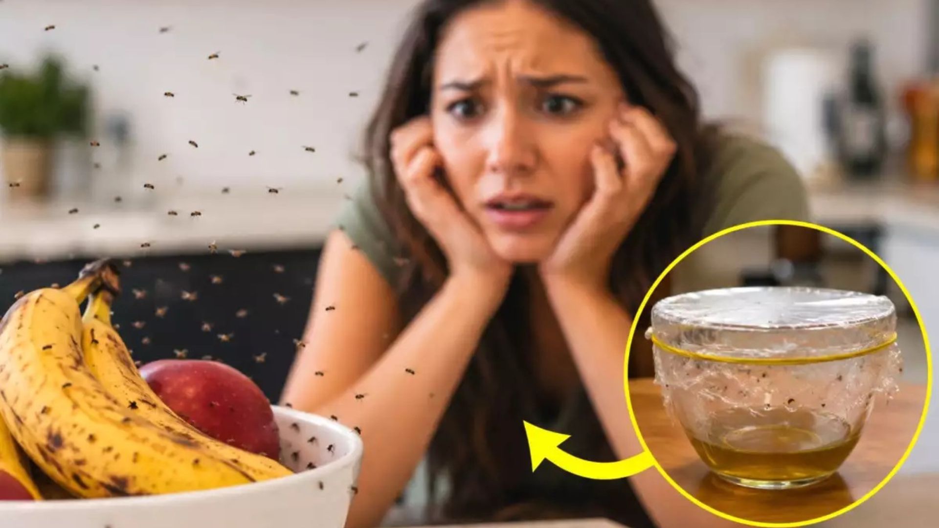 Como eliminar moscas-das-frutas na cozinha com armadilha caseira