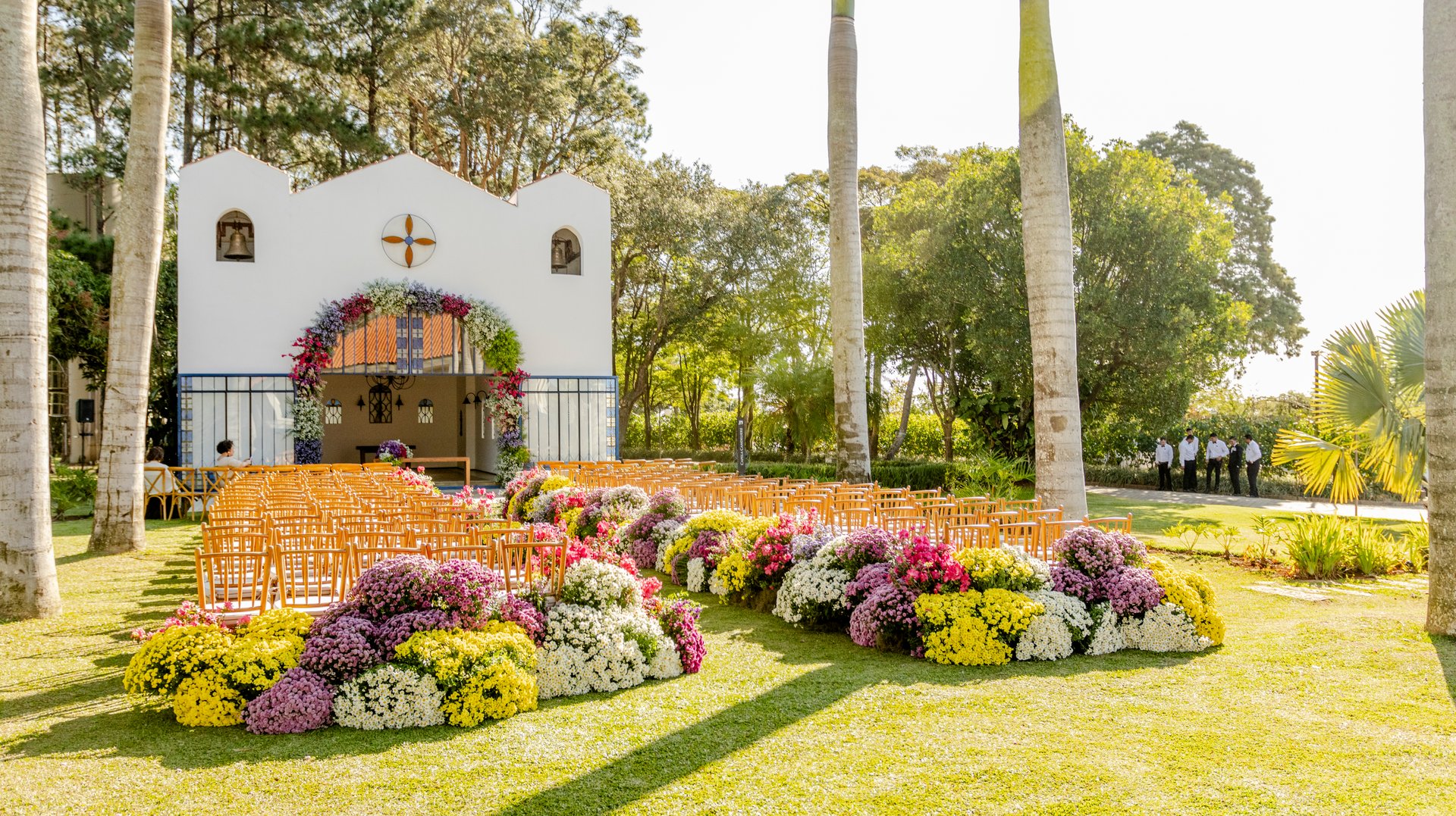 Crisântemos sem perfume ganham espaço na decoração de casamentos e impulsionam produtores de Holambra
