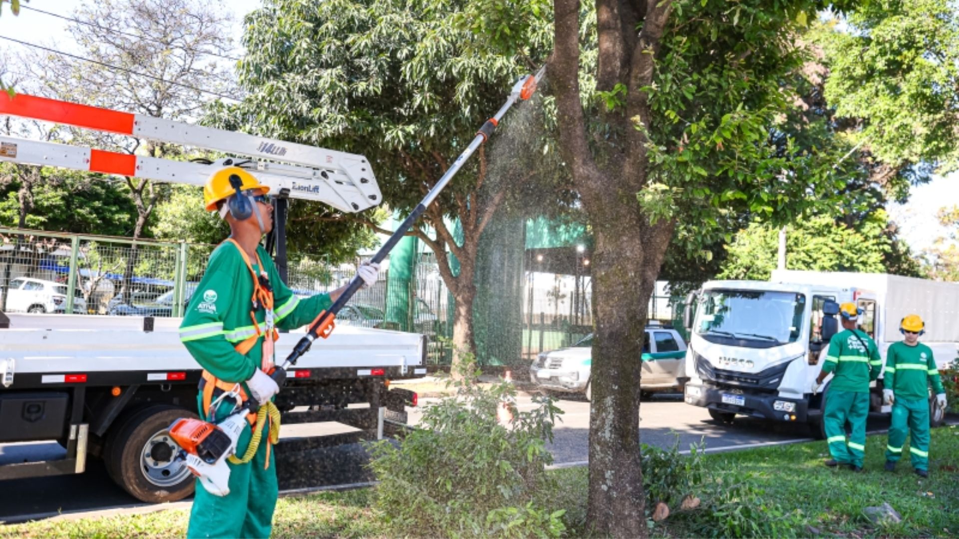 Paulínia + Verde conclui primeiro mês com podas no Parque Zeca Malavazzi e na Escola Yolanda
