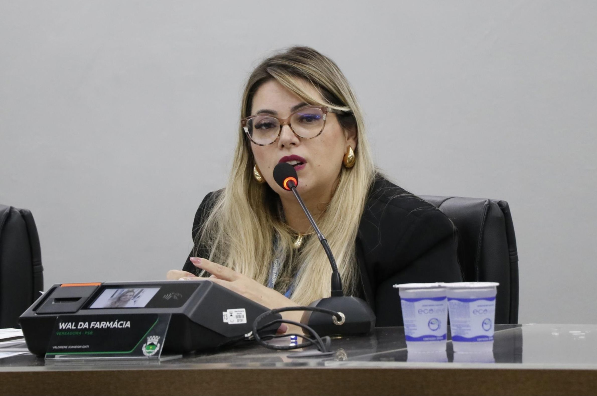 Câmara de Monte Mor aprova Selo Empresa Amiga da Mulher para incentivar emprego a vítimas de violência
