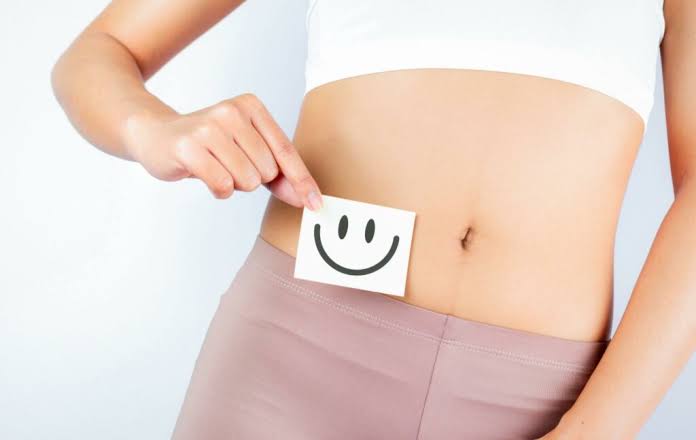 Alimentos fermentados e saúde da barreira intestinal