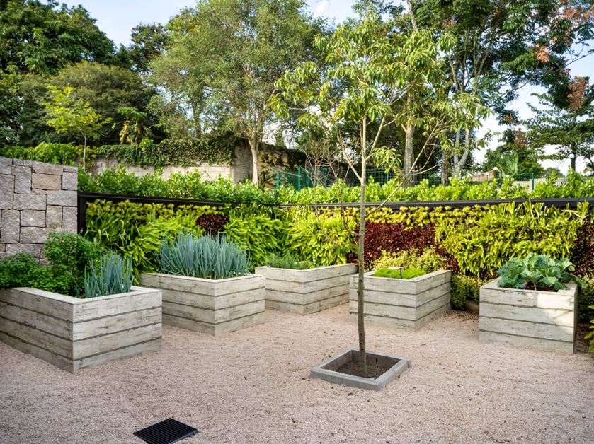 Árvores frutíferas no paisagismo residencial e jardinagem