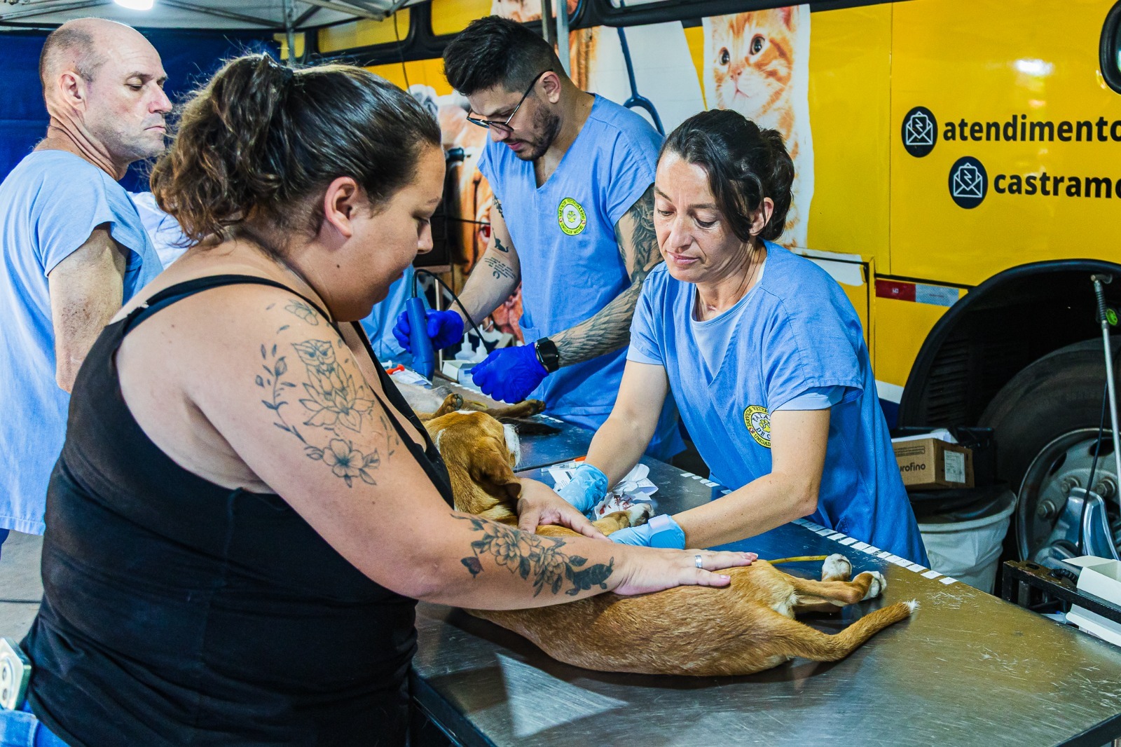 Paulínia abre 250 vagas para castração gratuita de cães e gatos em 17 de agosto