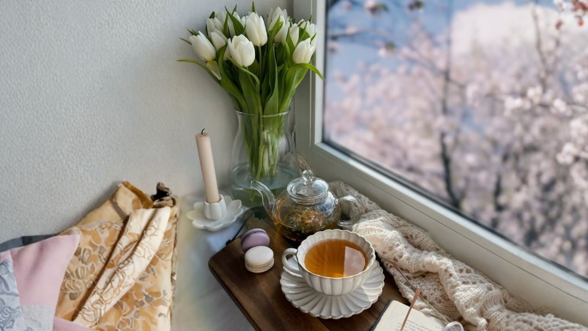 Uma pausa que acalma: 3 chás para relaxar corpo e mente