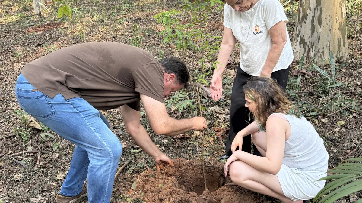 Plantio de mudas encerra Semana da Árvore e reforça meta de arborização até 2030 em Nova Odessa