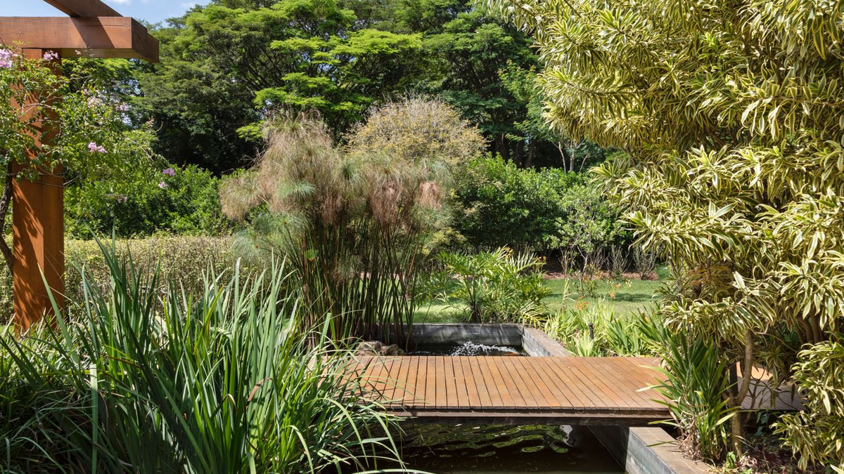 Plantas no inverno: cuidados e espécies que resistem ao frio