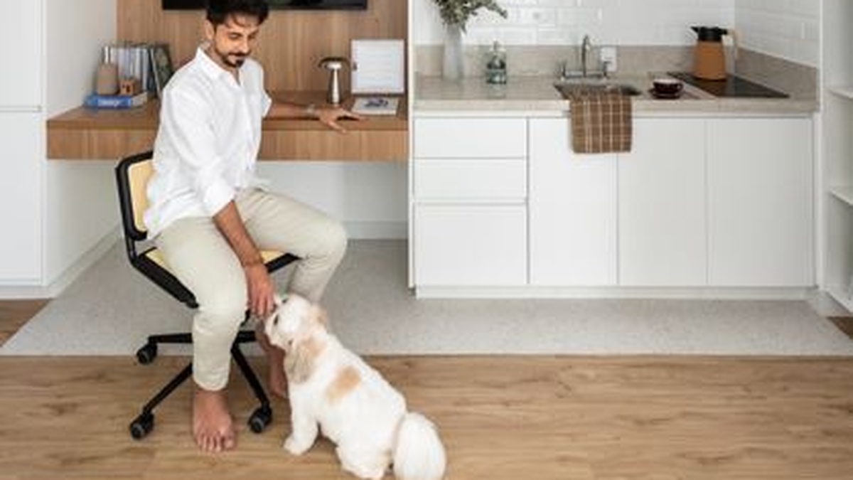 Homem interagindo com pequeno cão em apartamento com piso vinílico e cozinha integrada