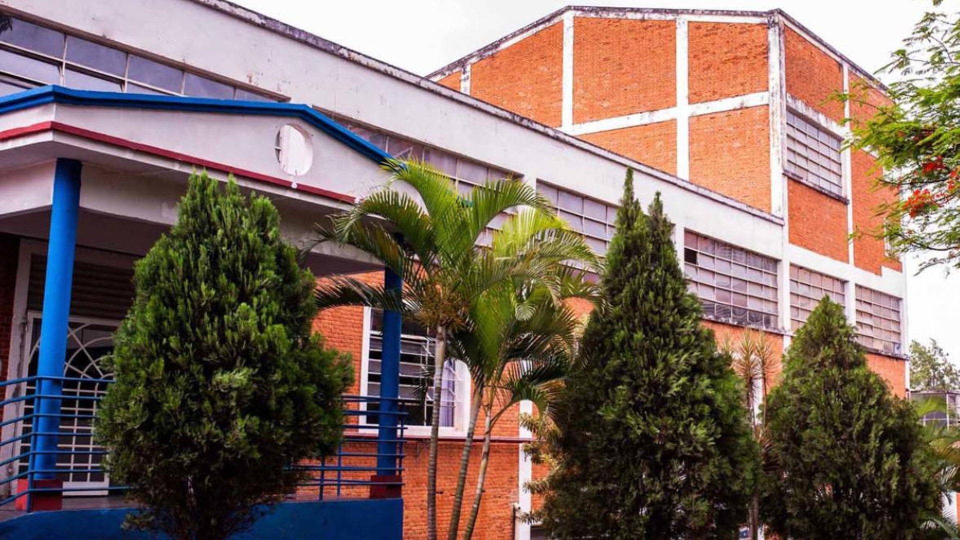 Escola Whale oferece educação bilingue de qualidade e serve de modelo de ensino de excelência