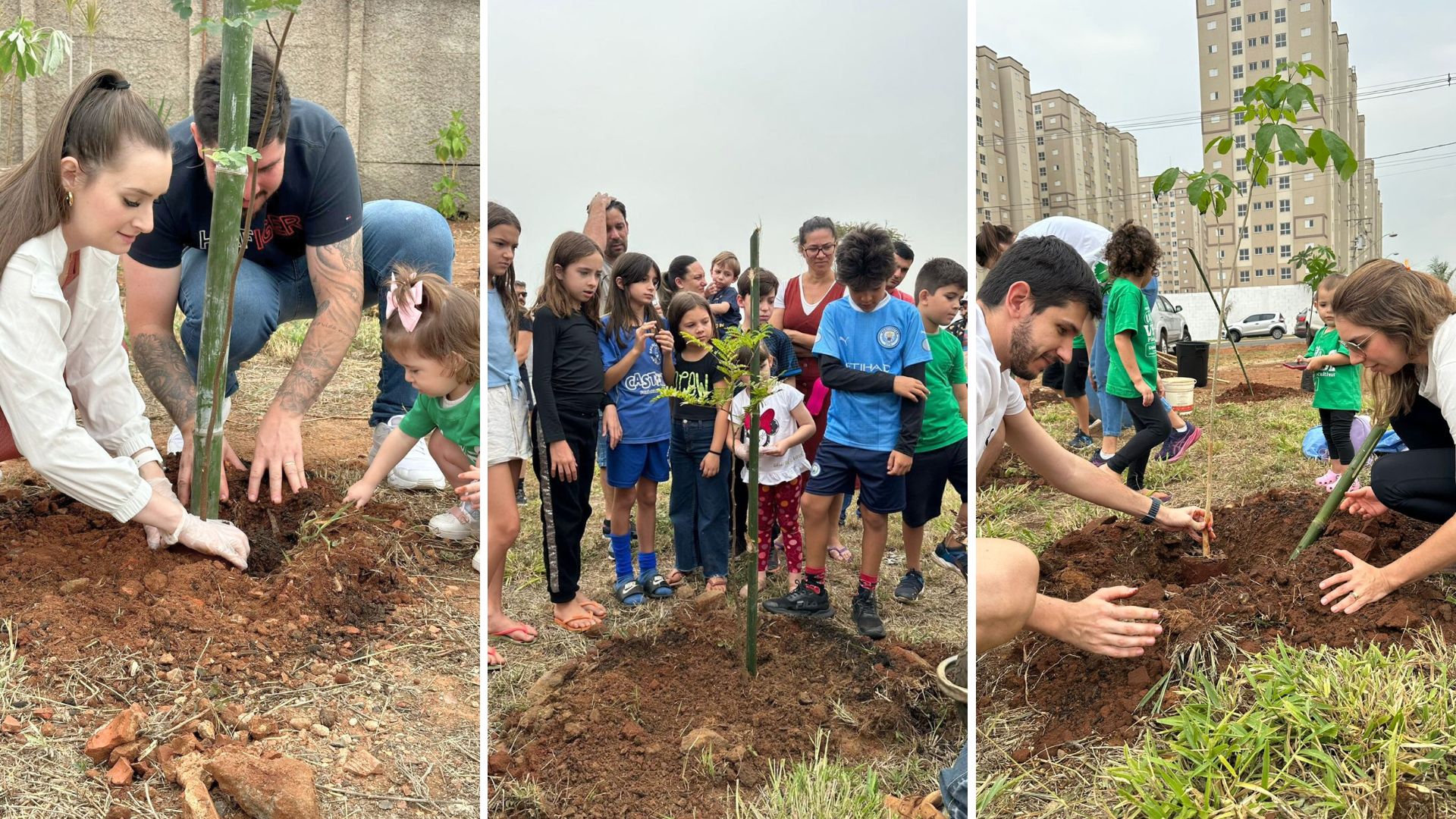 Unimed e Ambipar Plantam Mais de 100 Mudas em Nova Odessa