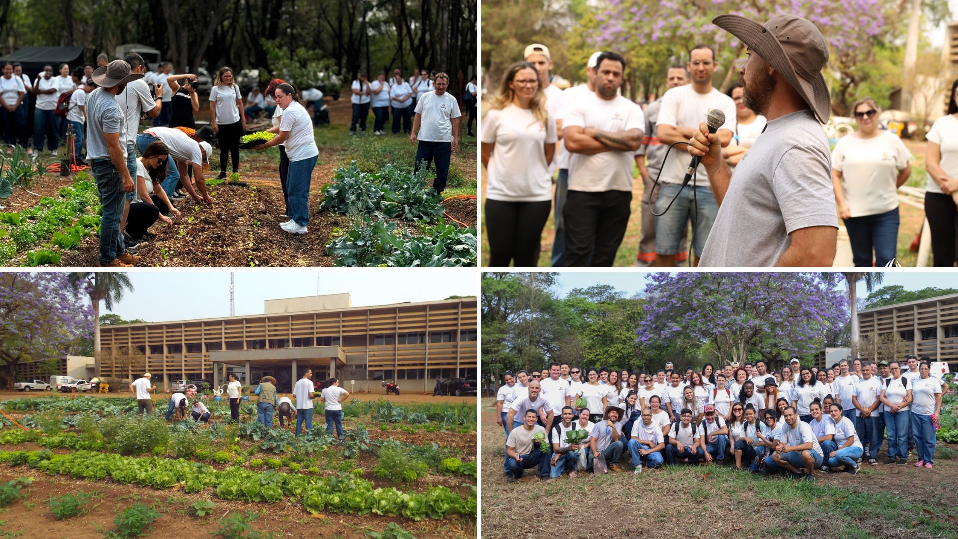 Ágilbag Celebra o Dia da Natureza Plantando Árvores em Parceria com a Prefeitura de Nova Odessa