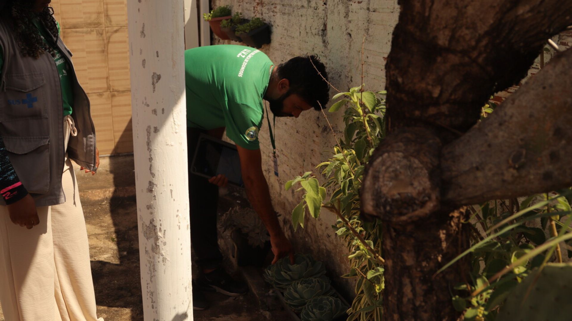 Atenção Redobrada: Prefeitura Intensifica Combate ao Aedes aegypti em Hortolândia