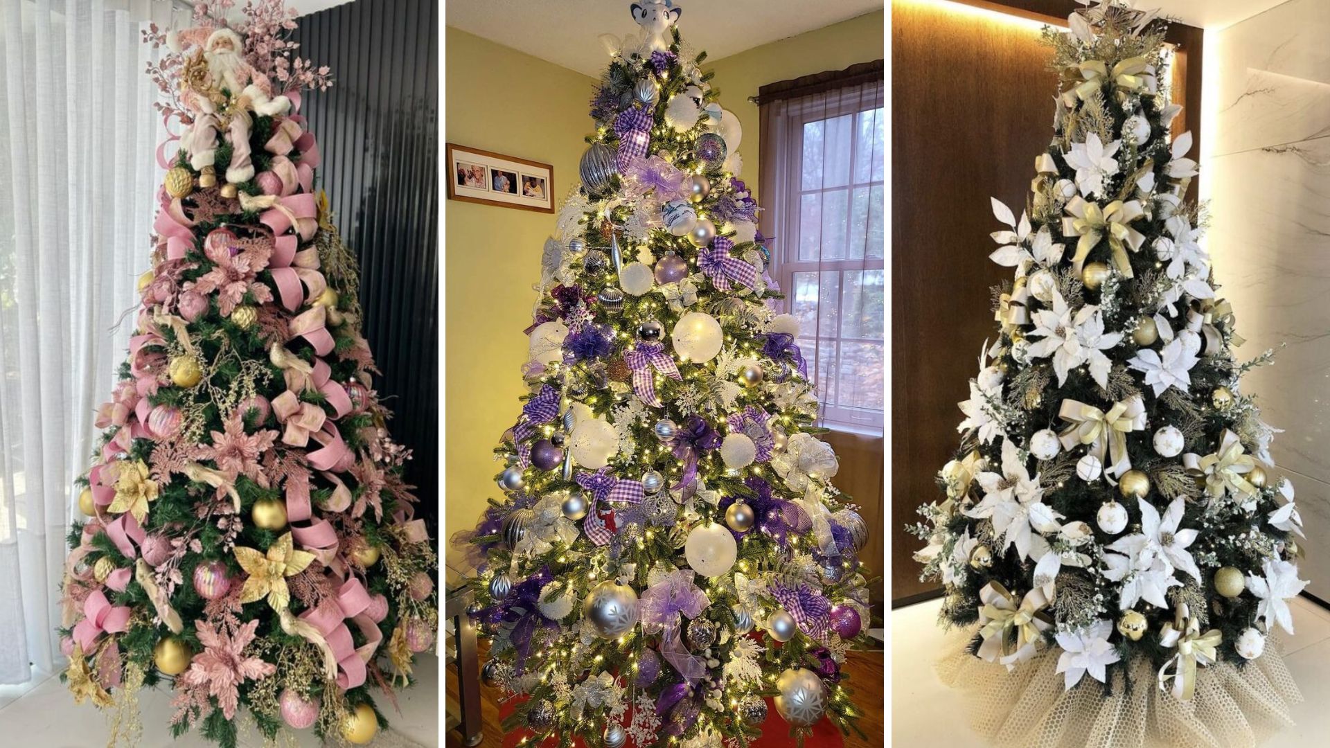 Cores de Árvores de Natal: Descubra a Cor de 2024