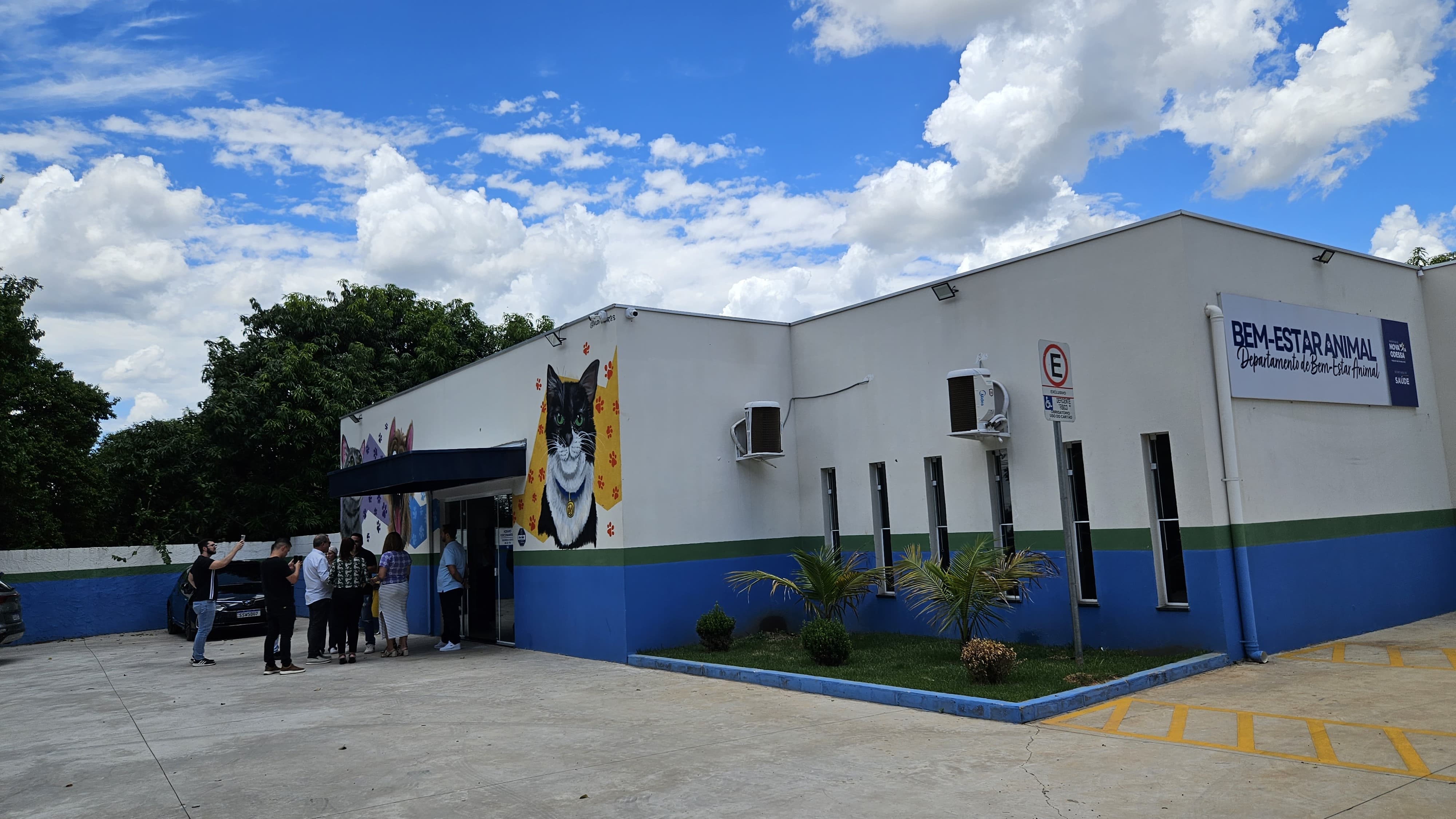 Prefeitura de Nova Odessa promove mutirão de castração e microchipagem de gatos