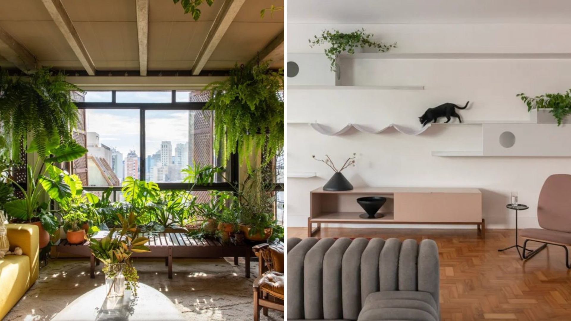 Casa Multiespécie: A Nova Tendência em Arquitetura e Decoração