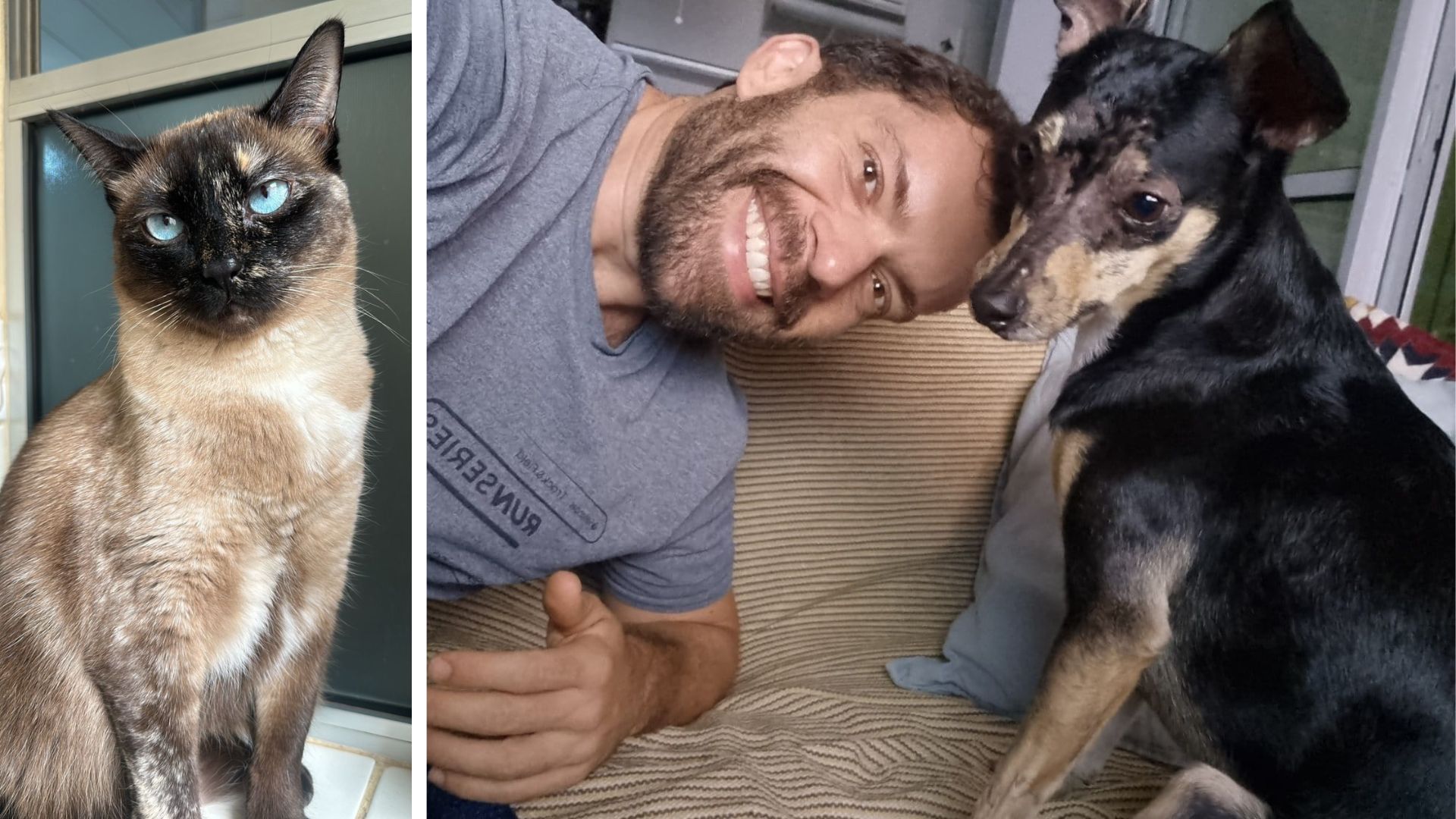 A Importância dos Bigodes na Vida dos Pets: Sensores Naturais de Navegação