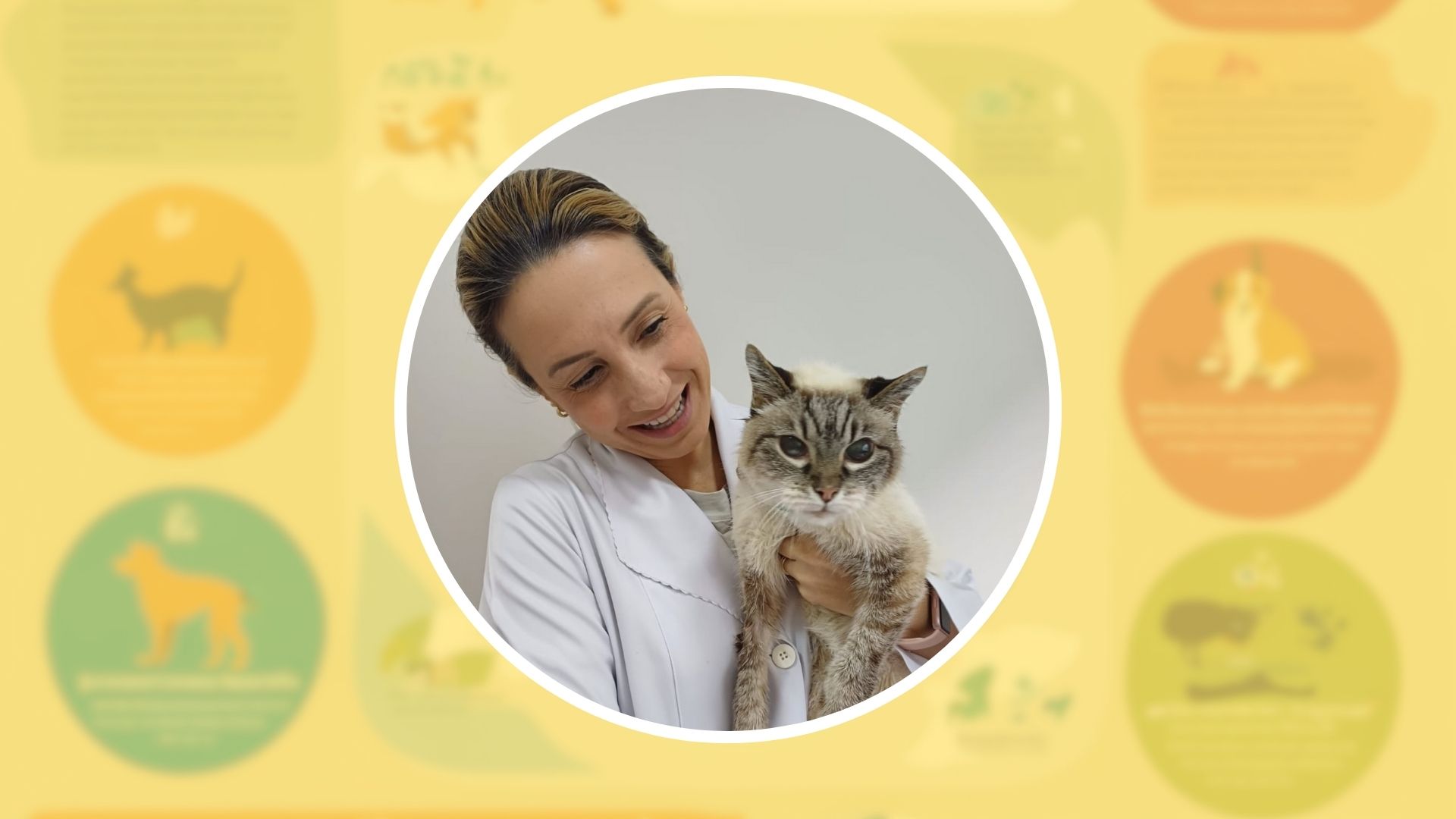 Março Amarelo alerta tutores sobre doenças renais em cães e gatos