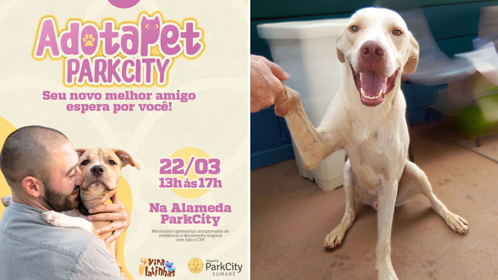 Shopping ParkCity Sumaré promove adoção responsável de cães e gatos neste sábado