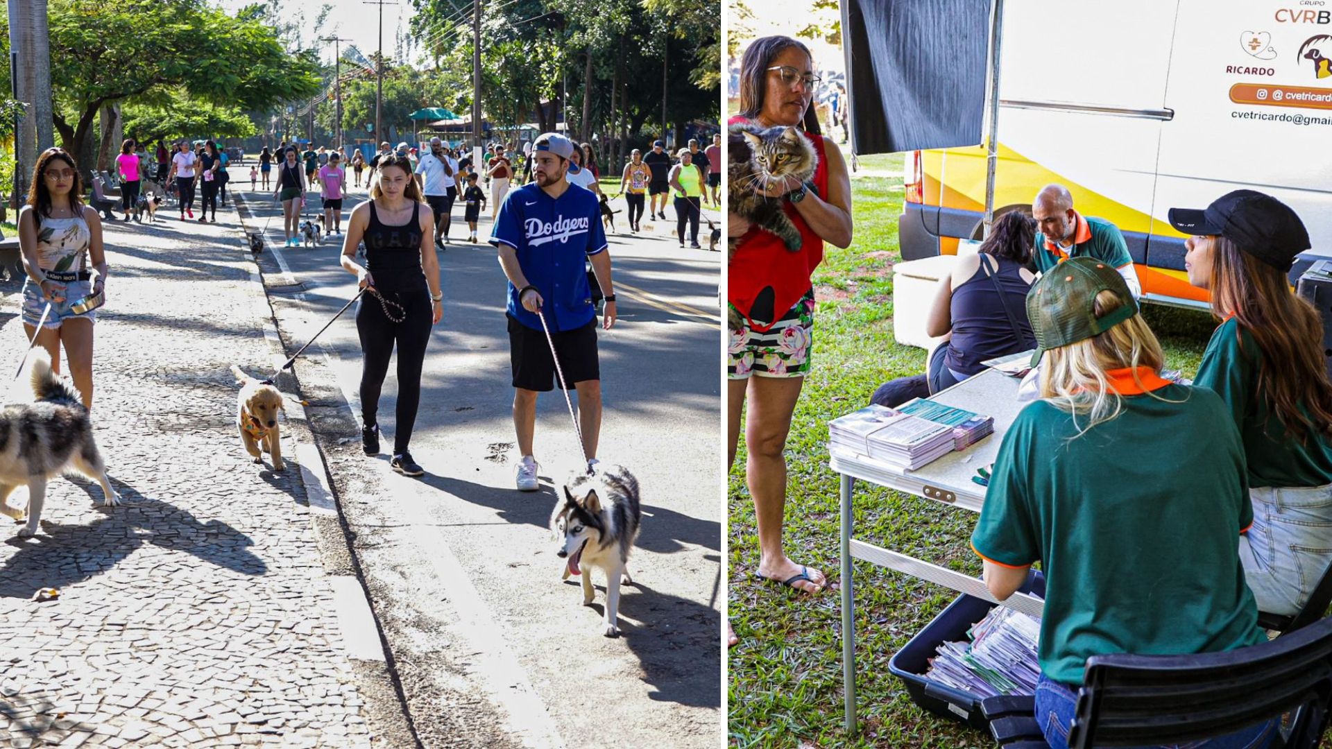 Paulínia realiza 1ª Cãominhada de 2025 no Parque Zeca Malavazzi neste domingo, 27