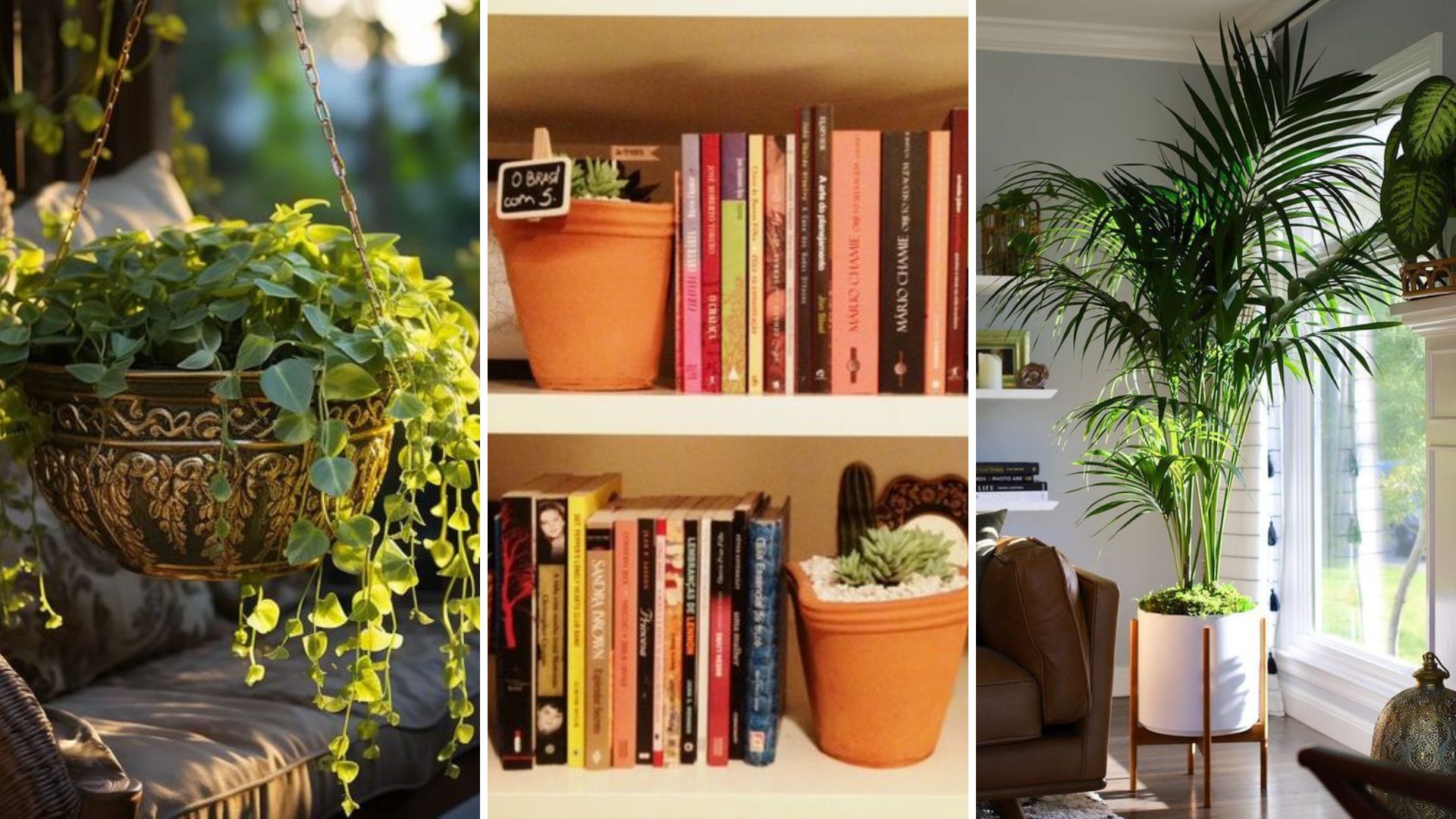 Guia de Presentes: 5 Ideias Criativas para Quem Ama Plantas