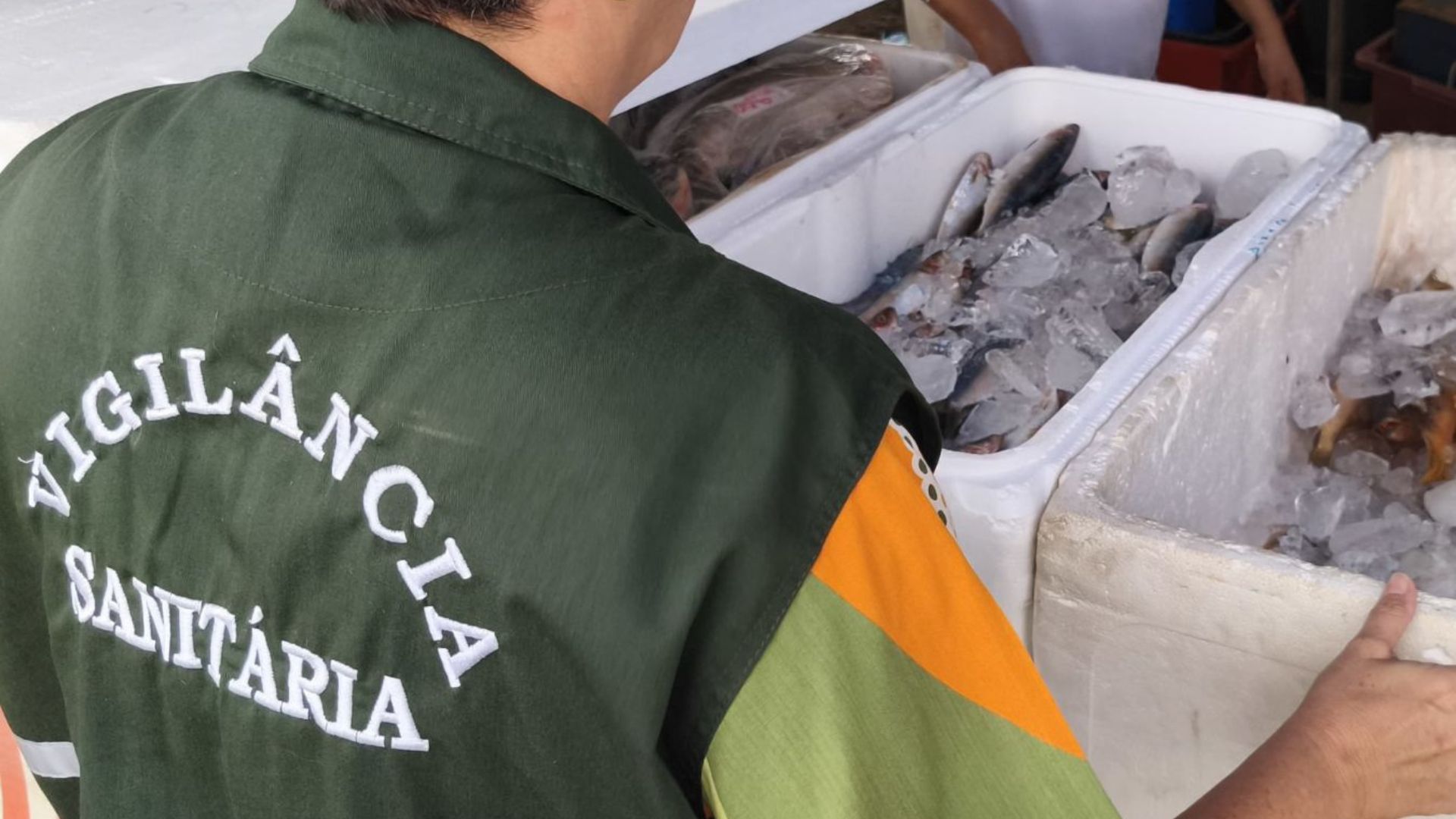 Sumaré: Feiras do Peixe oferecem pescados frescos até sexta (18)