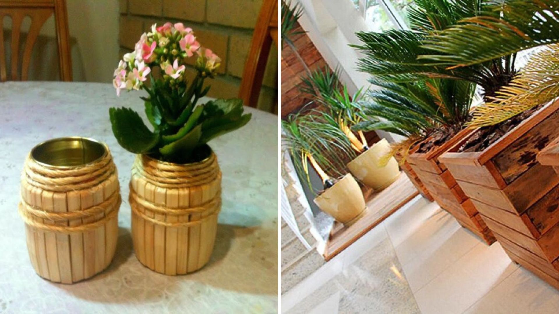5 Ideias DIY Lindas e Fáceis para Decorar com Plantas