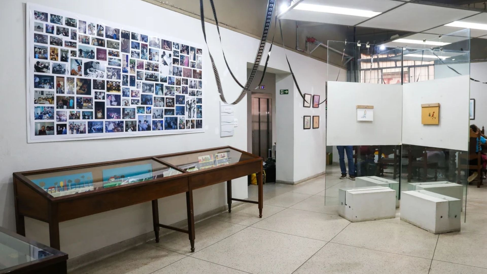 MIS-Campinas inaugura exposição em comemoração aos 50 anos do Núcleo de Cinema de Animação