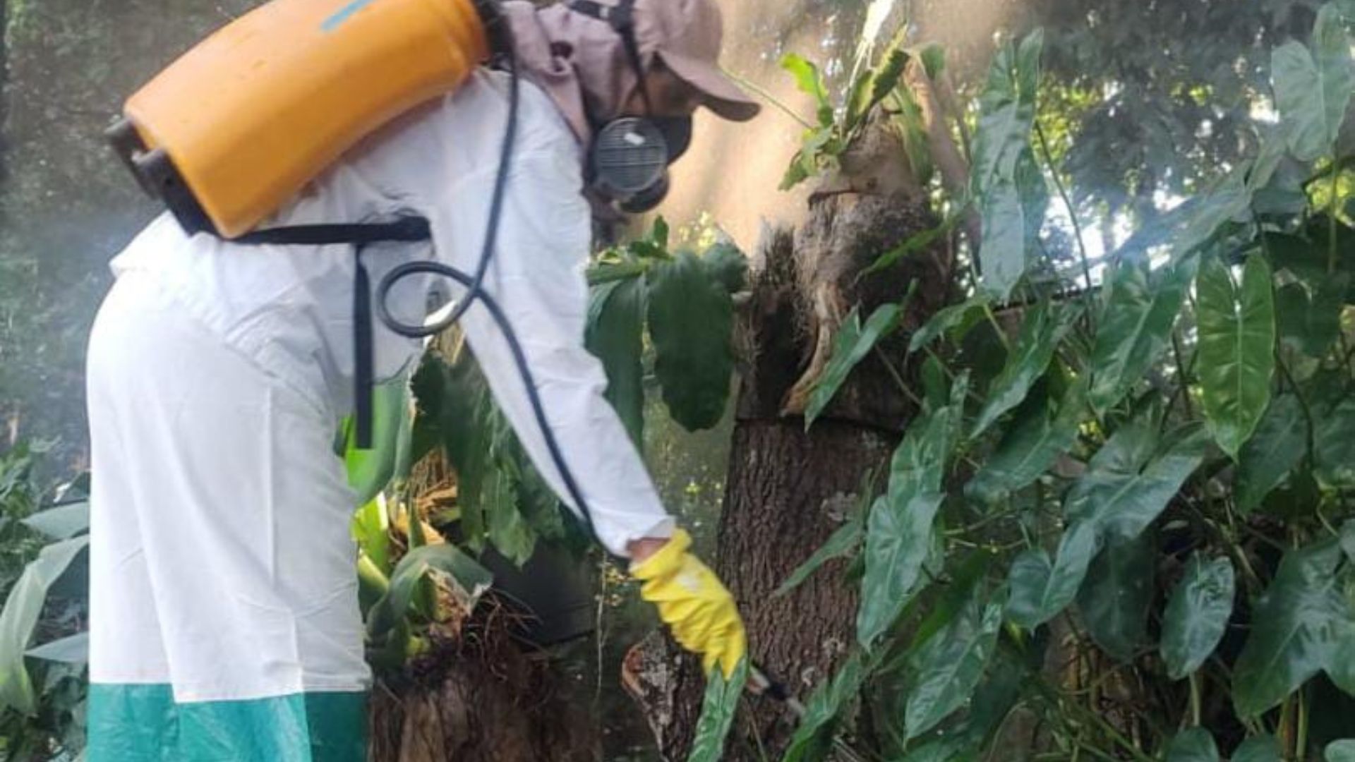 Vigilância em Saúde de Sumaré divulga balanço de ações de controle animal e pragas urbanas em 2025