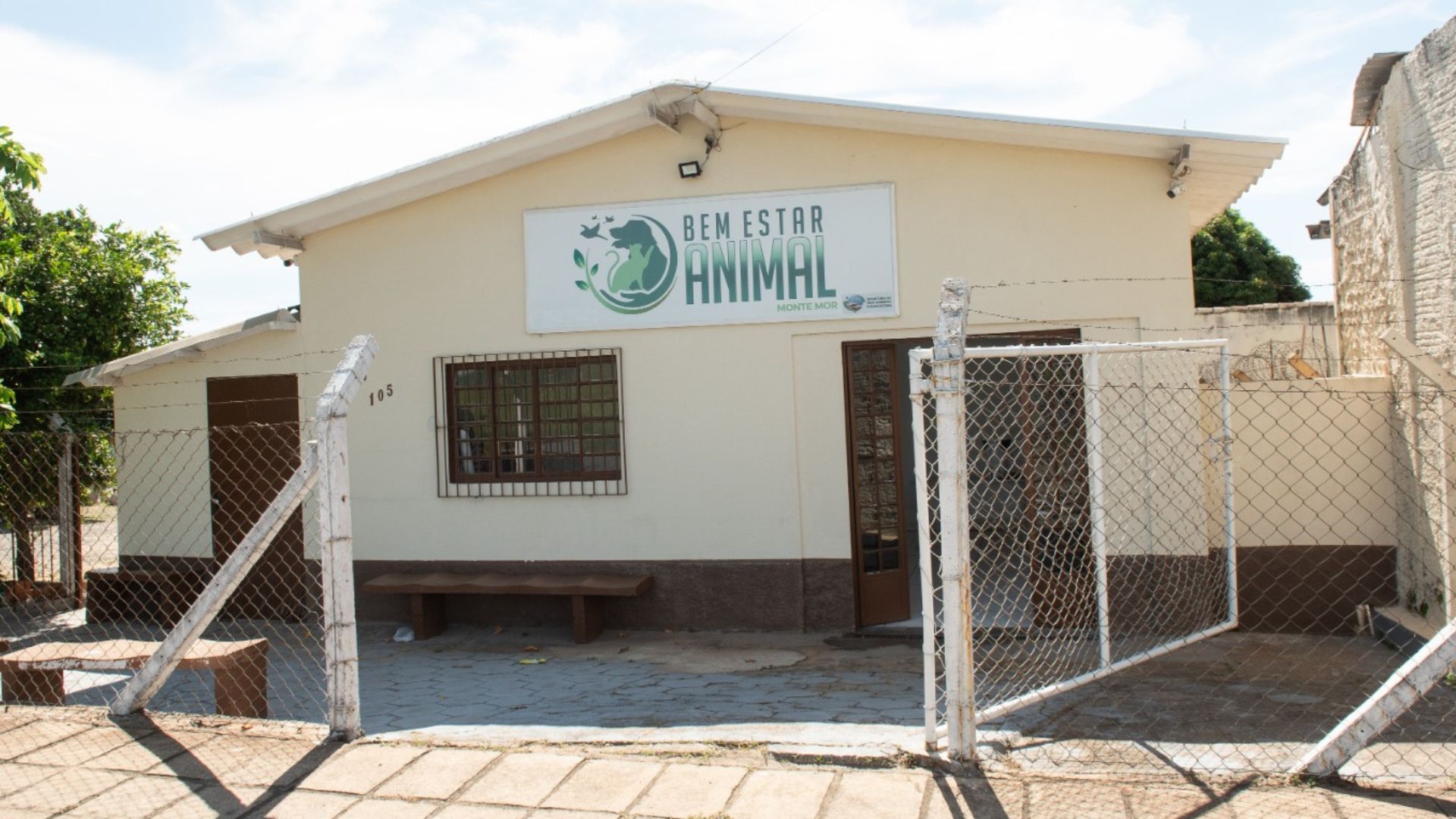 Prefeitura de Monte Mor realiza castração gratuita para 100 cães e gatos