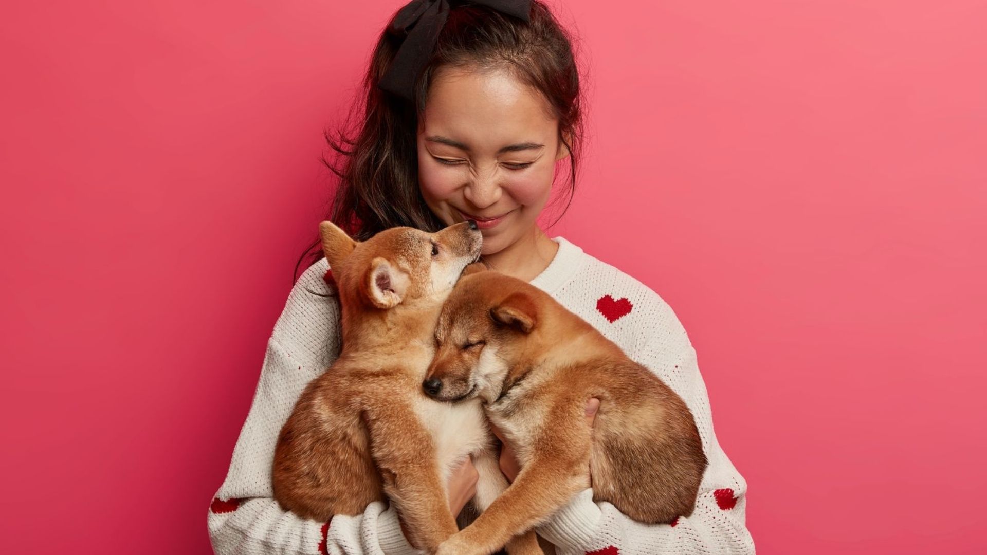 Maternidade Pet: O Crescimento do Mercado e a Nova Realidade dos Tutores