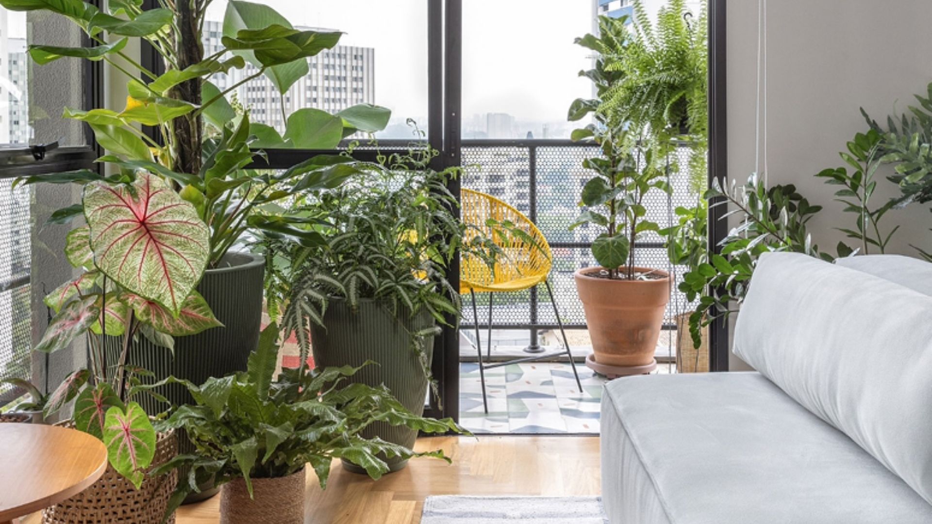 Transforme seu lar em uma floresta urbana: dicas essenciais