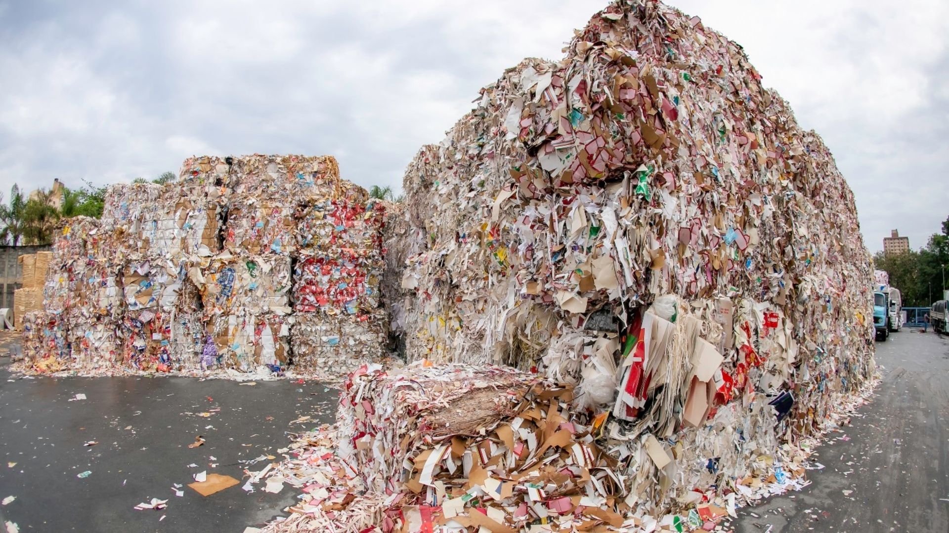 Parcerias sustentáveis em eventos na RMC reduzem resíduos e impactos ambientais