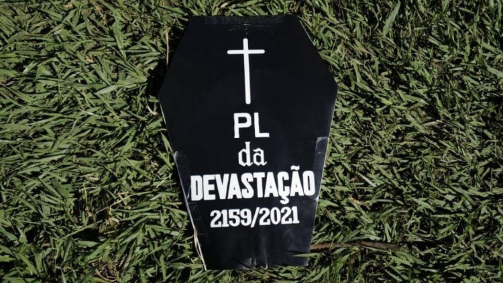 Sumaré e Nova Odessa lideram ações ambientais enquanto PL da Devastação ameaça o Brasil